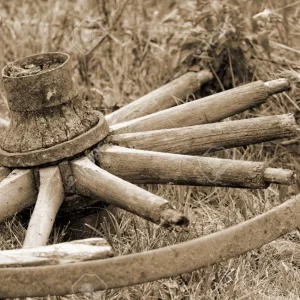 Family Research Gift Certificate