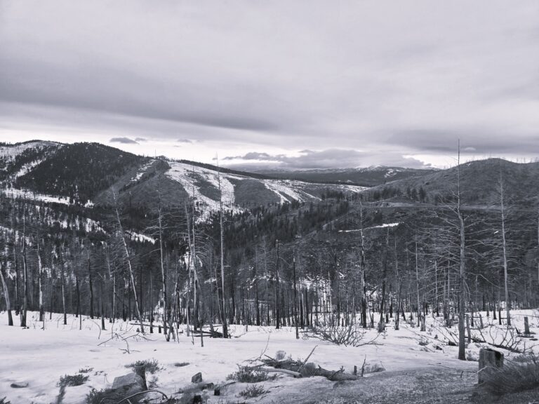 Dooley Pass - Oregon Trail Genealogy