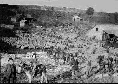 Jackson Homestead-2 - Oregon Trail Genealogy