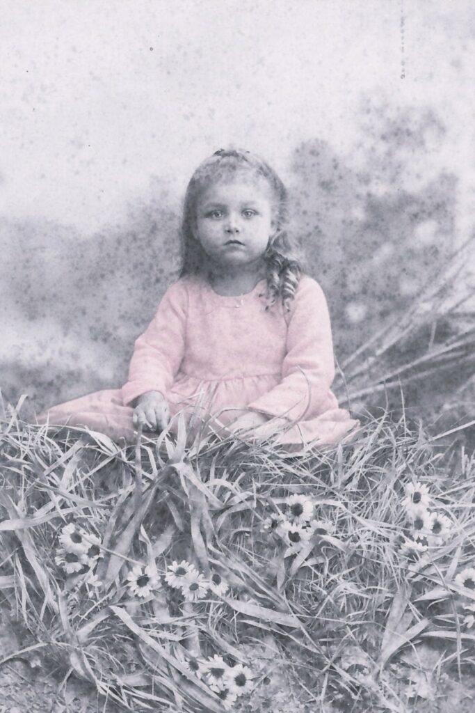 Young girl with a braided ponytail sits in tall grass among daisies, outdoors, wearing a pink dress and looking at the camera.