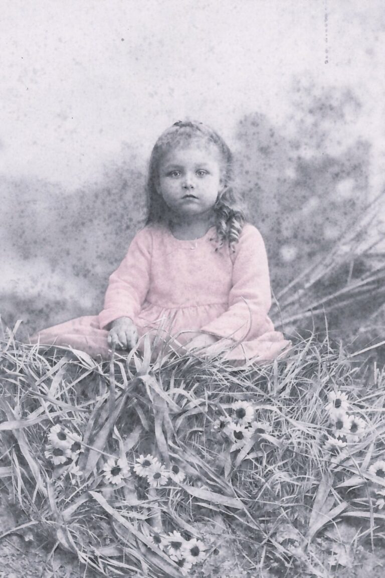 Young girl with a braided ponytail sits in tall grass among daisies, outdoors, wearing a pink dress and looking at the camera.